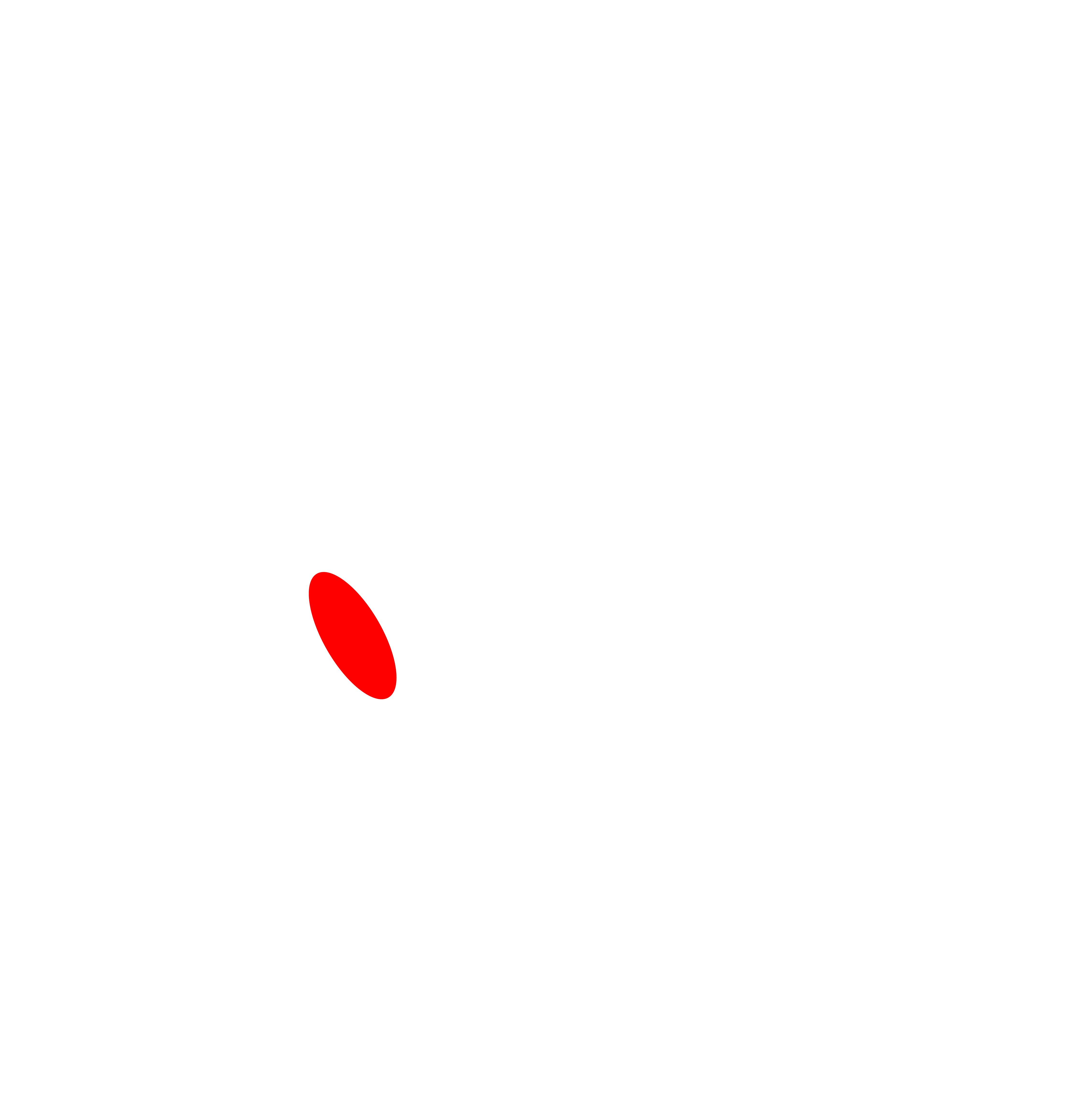 SolidClip Media Logo